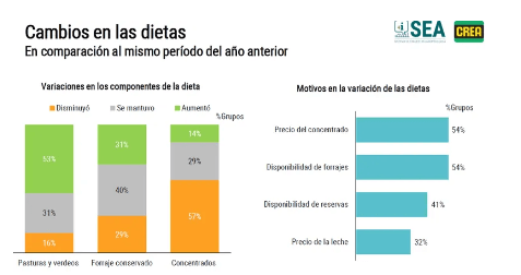 crea dietas