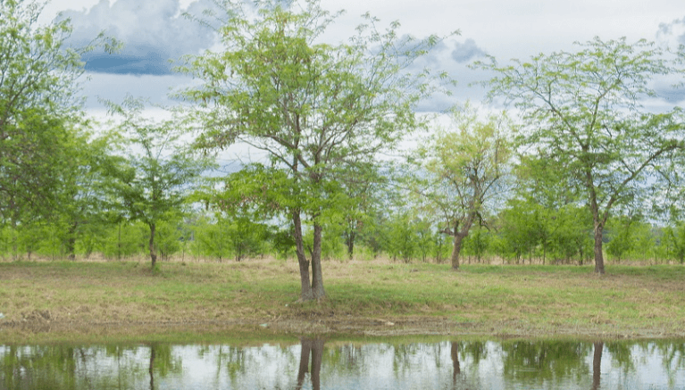 cuenca matanza riachuelo