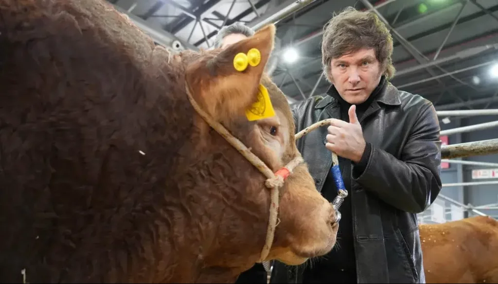 De los granos, a la carne y la leche: ¿cómo está la economía de los principales productos del campo?