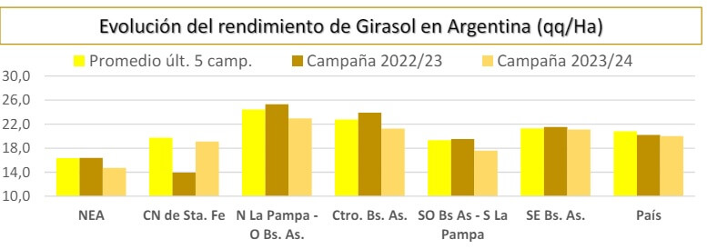 rindes girasol