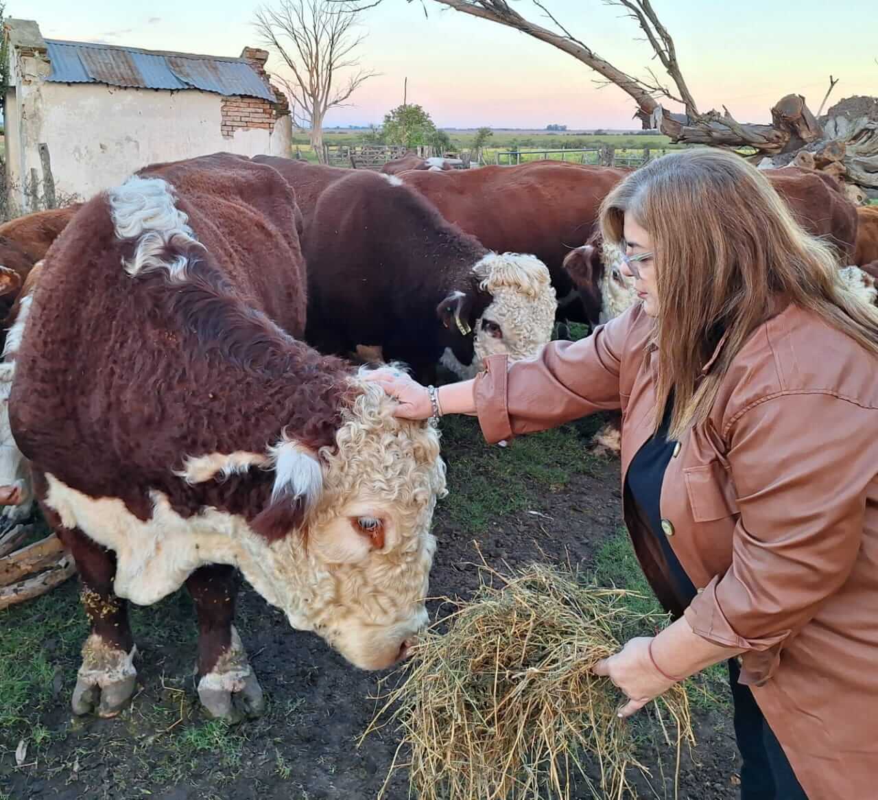 Gaby, la criadora Hereford que creció en el conurbano y hoy preside una Rural en Entre Ríos 4 WhatsApp Image 2024 04 26 at 08.12.41 1