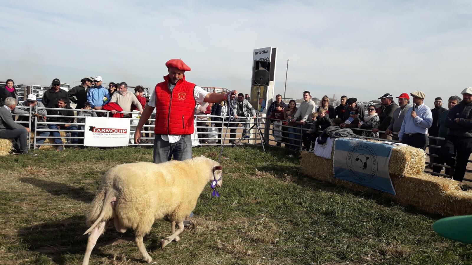 Genética bovina: "Estamos mejor posicionados que los países de la región" 2 WhatsApp Image 2024 05 30 at 14.31.39