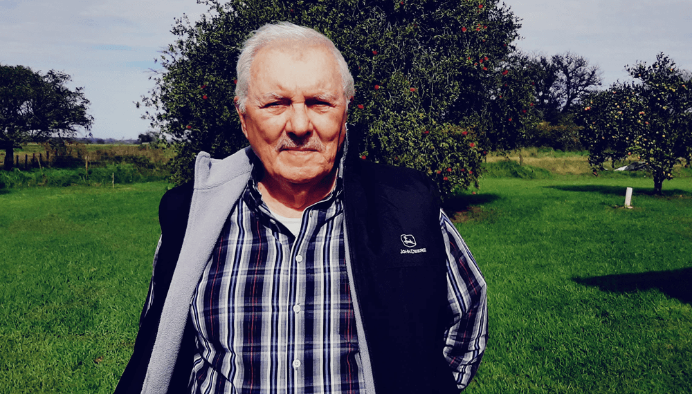luis nardi