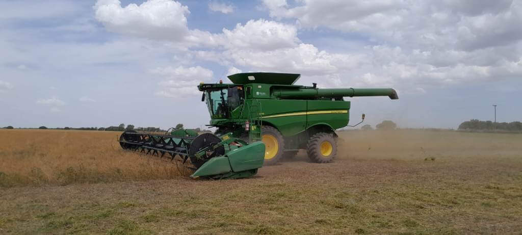 Sembraron 1.000 hectáreas de camelina, tuvieron muy buenos resultados y ahora duplicarán la apuesta 1 WhatsApp Image 2024 06 13 at 10.07.25