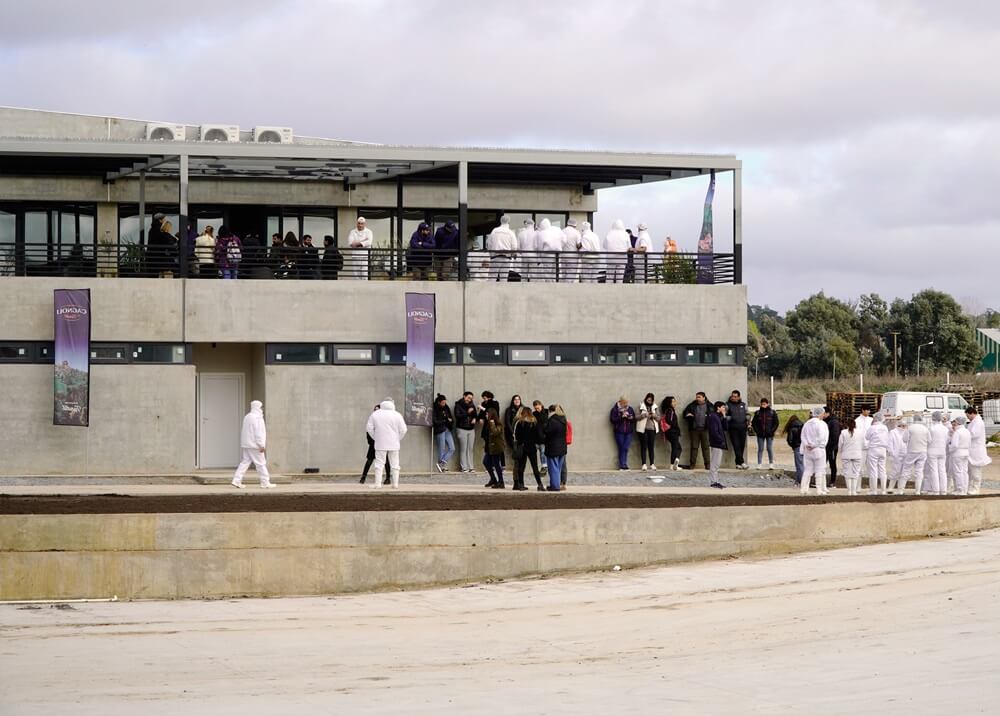 Un incendio destruyó su planta agroindustrial, la reconstruyeron y ahora planean volver a exportar 4 cagnoli nuevos espacios