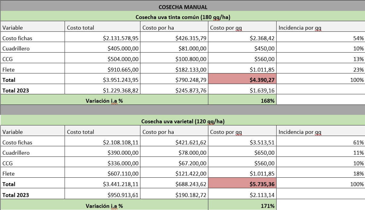 Empujada por la suba de costos, la cosecha mecánica de la uva gana terreno y fortalece a las cooperativas 1 cosecha manual