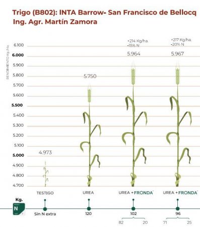 Aplicaciones más eficientes: el trigo se puede nutrir y proteger en una sola pasada 1 WhatsApp Image 2024 09 12 at 11.03.43 1