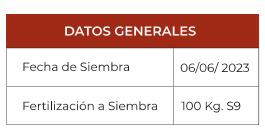Aplicaciones más eficientes: el trigo se puede nutrir y proteger en una sola pasada 2 WhatsApp Image 2024 09 12 at 11.03.43