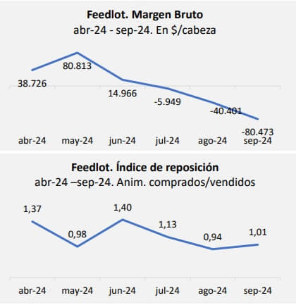 Con un ternero que empieza a escalar, se profundizan los números en rojo para los feedlots 1 fada1