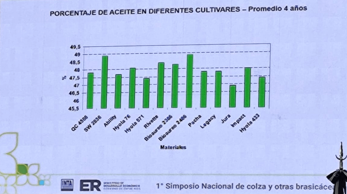 grafico cultivares colza