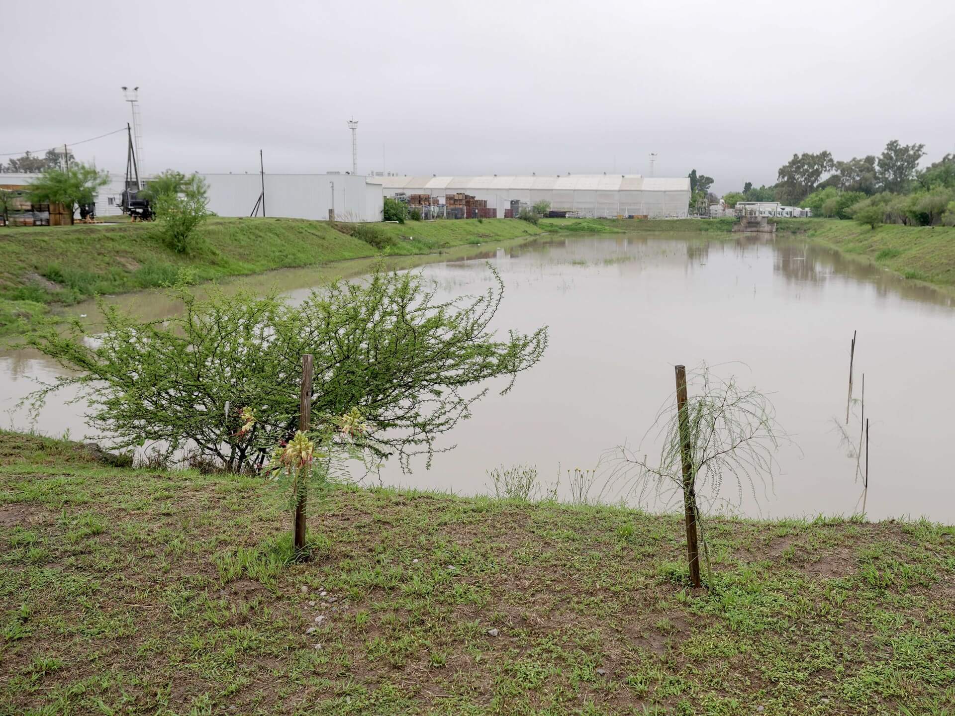 Sustentabilidad: una firma de peso en maquinarias protegerá la flora y fauna autóctonas de su predio 4 687239