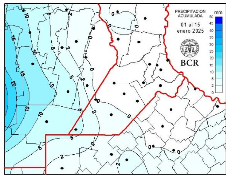 El maíz en alerta por la falta de agua y la ola de calor: “La Zona Núcleo podría cosechar 44% menos” 2 BCR aiz 2