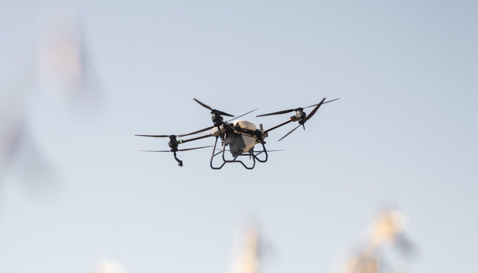 Inteligencia artificial y robótica al servicio de los productores: Expoagro lanzará un espacio de la temática 1 Descarga la imagen de portada 1 e1737605478929