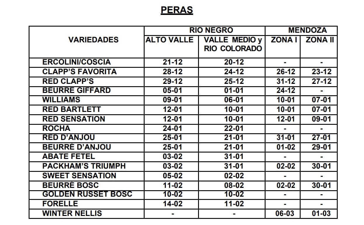 Las peras y manzanas de Río Negro y Mendoza ya tienen calendario “oficial” para la cosecha 1 PERAS