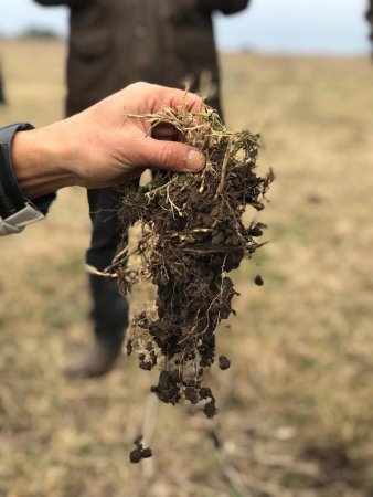 Uso de biológicos: cuando ambiente, suelos y el bolsillo de los productores "agradecen" su aplicación 1 WhatsApp Image 2025 01 15 at 10.24.06 4