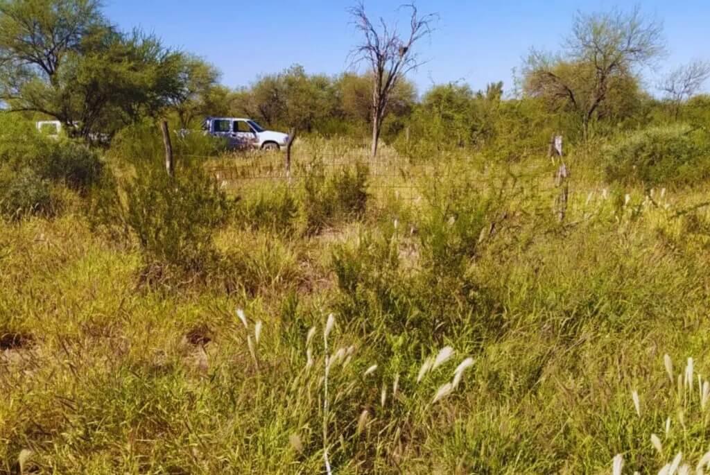 En los valles riojanos, recrían la ganadería con un modelo de mayor eficiencia y productividad 2 2