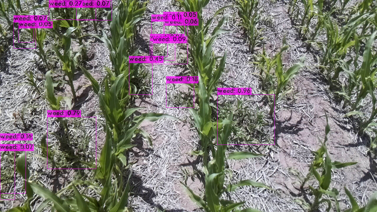 Inteligencia artificial: la carrera de la conectividad tiene una meta en Expoagro 2 Como ve el SprAI