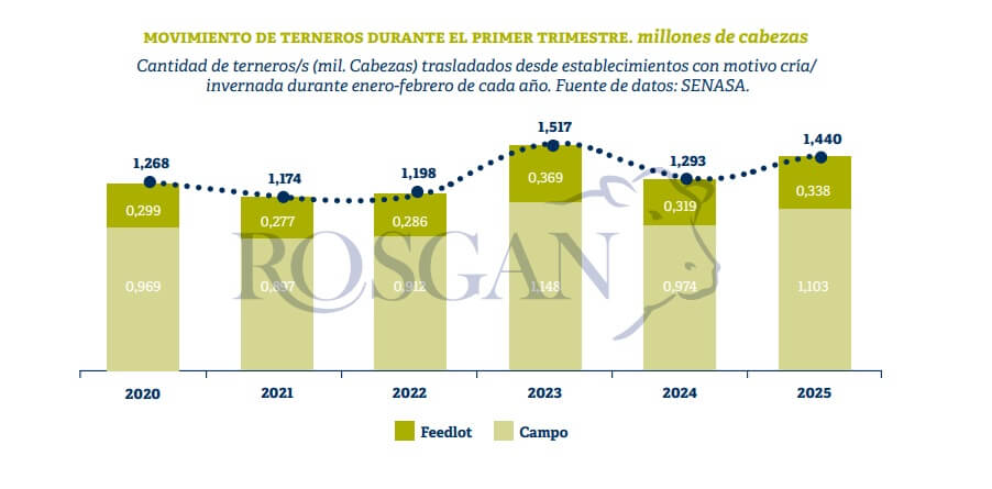 ¿Giro en el negocio ganadero?: la suba de precios activó la retención de hacienda y las recrías 1 R1