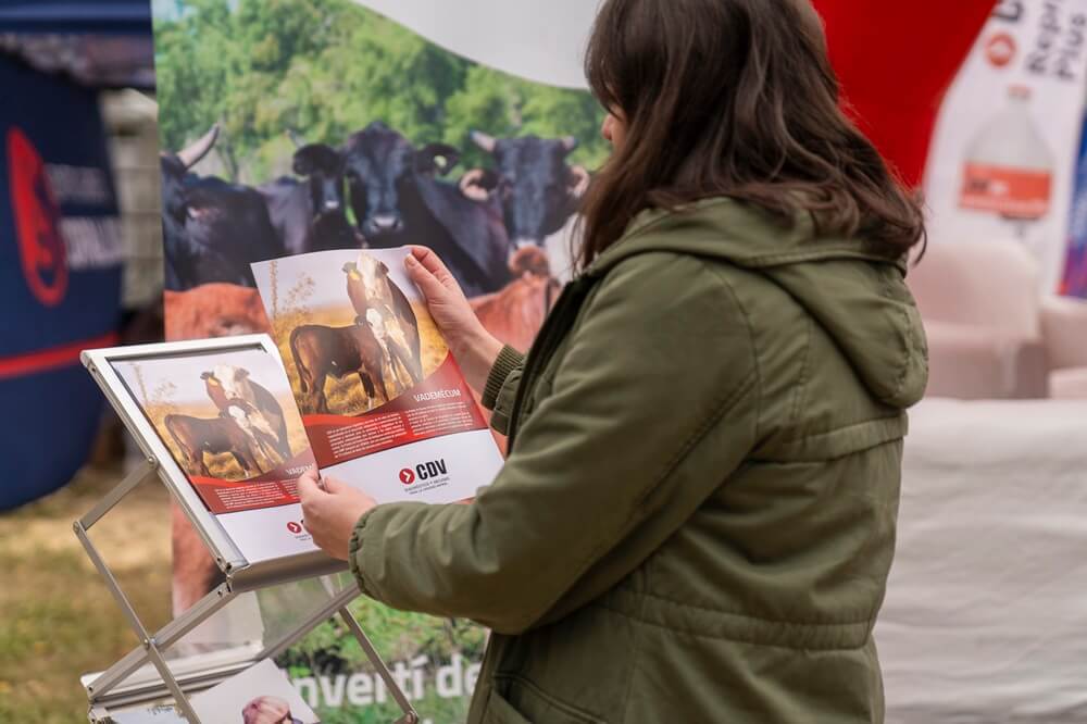 Sanidad bovina: “Hay que trabajar más en la reproducción, para mejorar la eficiencia productiva” 1 CDV