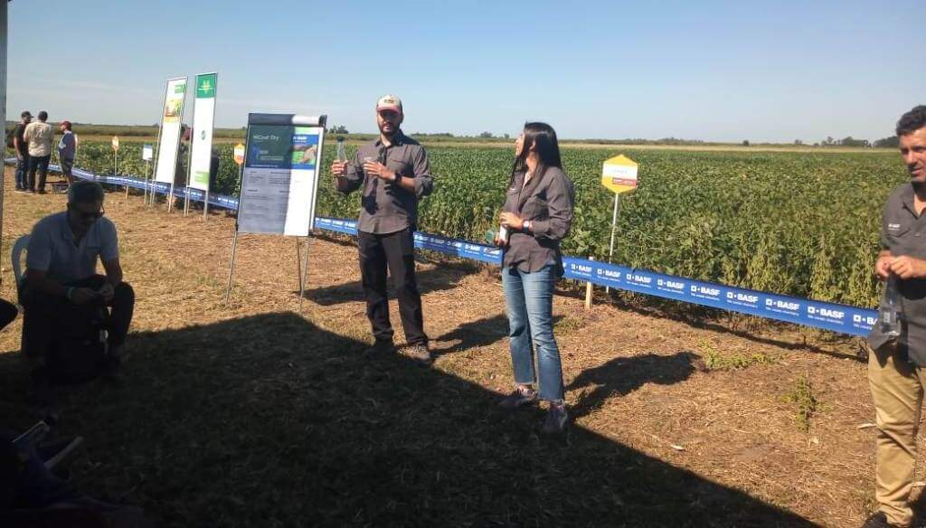 Semillas: la soja, el girasol y el maíz amplían su oferta y se fortalecen con más biotecnología 1 WhatsApp Image 2025 04 03 at 17.08.23 1
