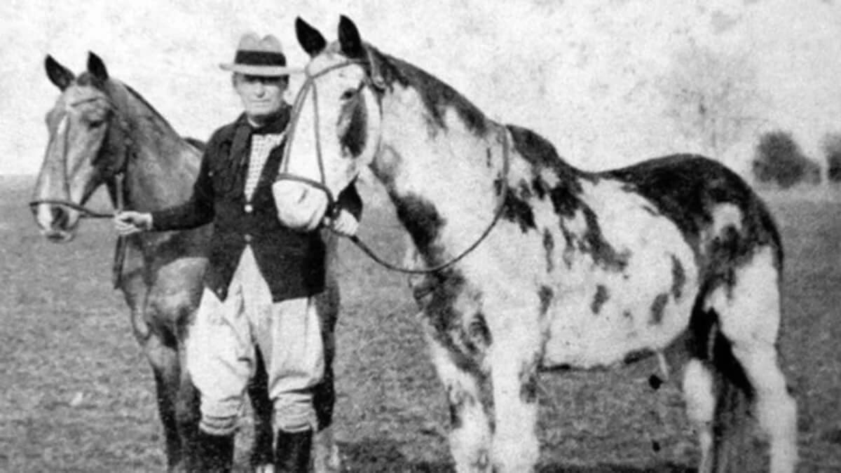 Gato y Mancha: a 100 años de la epopeya criolla que cruzó un continente y continúa vigente 2 gto y mancha