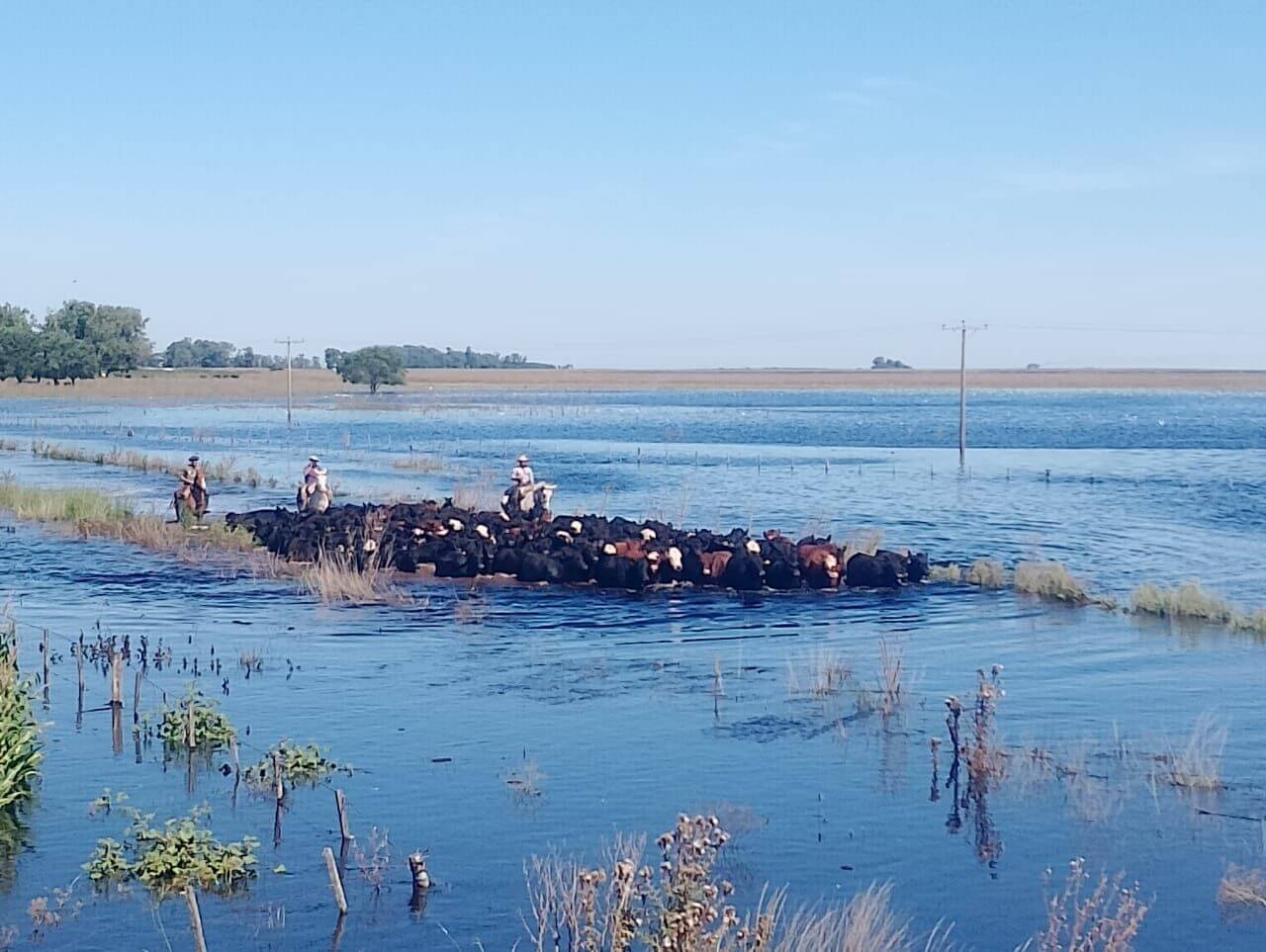 En la Cuenca del Salado, crece el malestar por las inundaciones y se multiplican las asambleas 1 saladillo