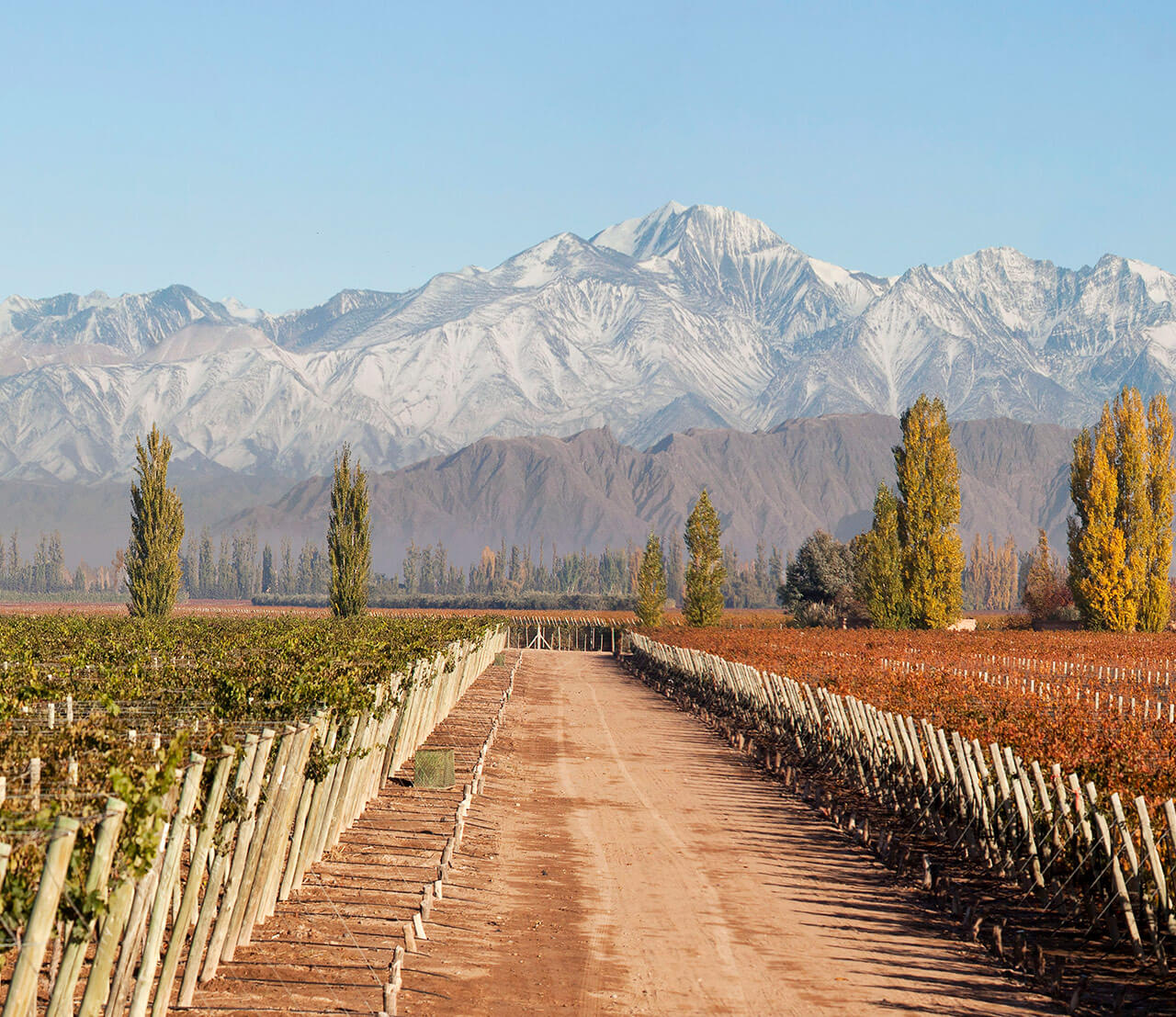 Vinos centenarios: en Argentina, 14 bodegas llevan más de un siglo de producción ininterrumpida 1 Bodega Norton