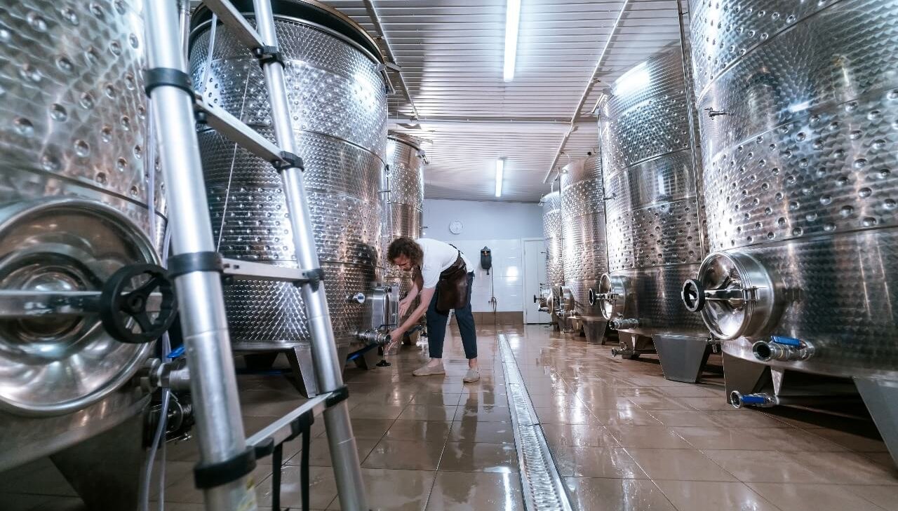 Bodegas e1748009490878