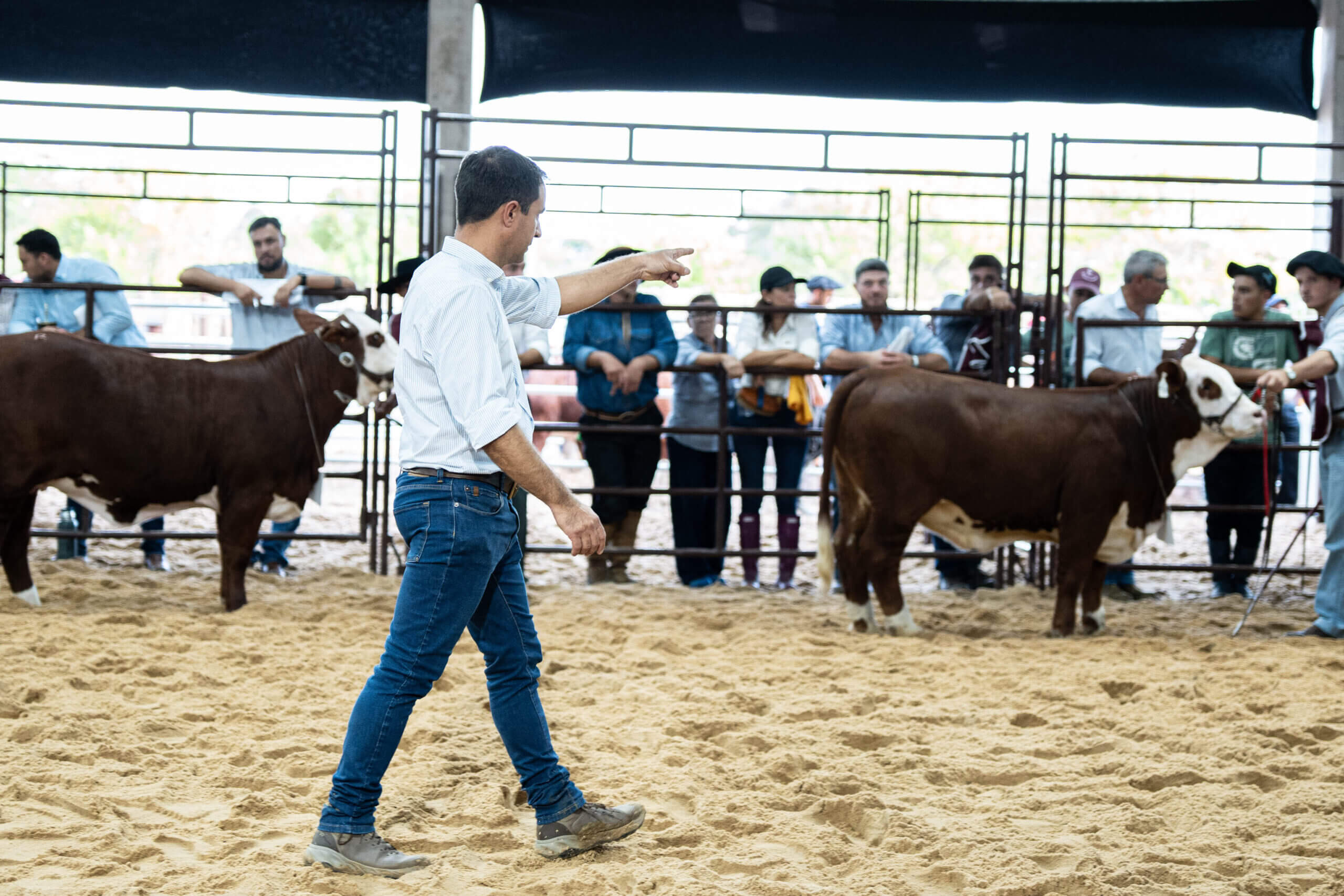 Expo Nacional Braford: Santiago del Estero y Entre Ríos, la tierra de los grandes campeones 2 Descargar imagen de jurado Gaston Garcia