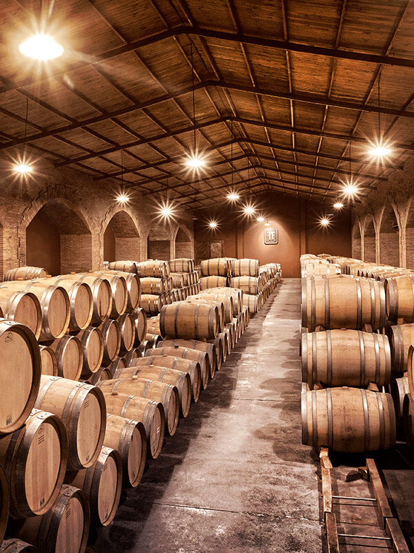 Vinos centenarios: en Argentina, 14 bodegas llevan más de un siglo de producción ininterrumpida 3 Finca Flichman