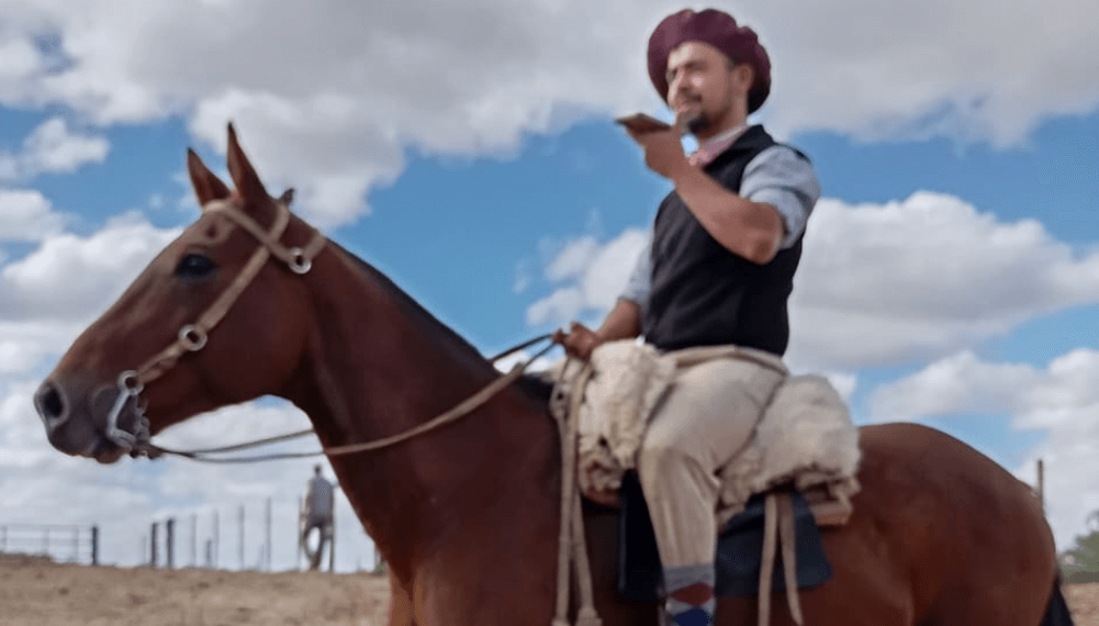 Inteligencia artificial: transforman audios de whatsapp en datos y ya gestionan más de 700 campos 2 Gaucho a Caballo Imagen Real