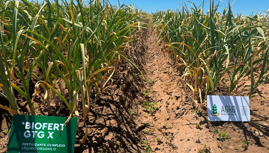 bioinsumos agro sustentable