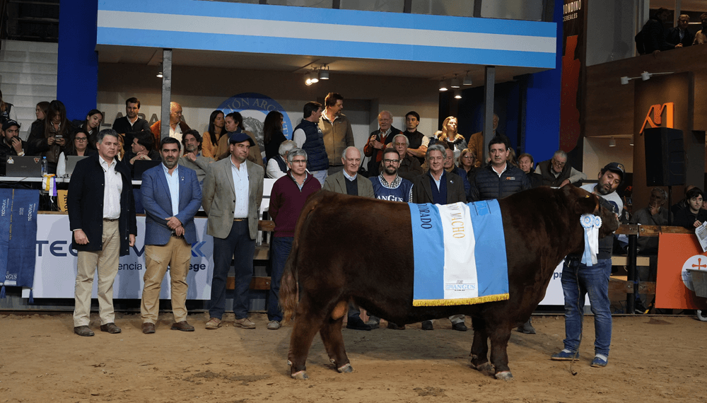 Expo Angus: “La genética como herramienta en los sistemas de producción siempre tiene que estar”