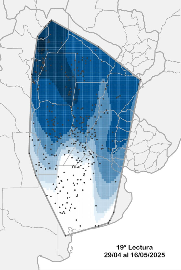 chicharrita mapa