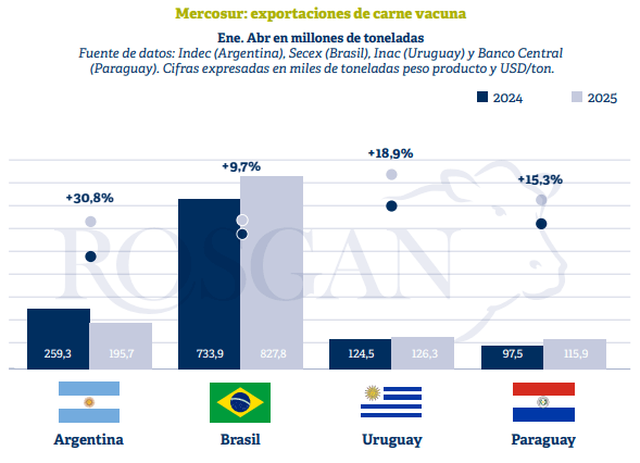 expos carne vacuna mercosur