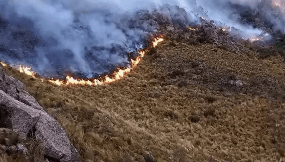 Manejo del fuego: una guía de buenas prácticas agropecuarias para prevenir incendios rurales 4 incendio forestal sierras cba