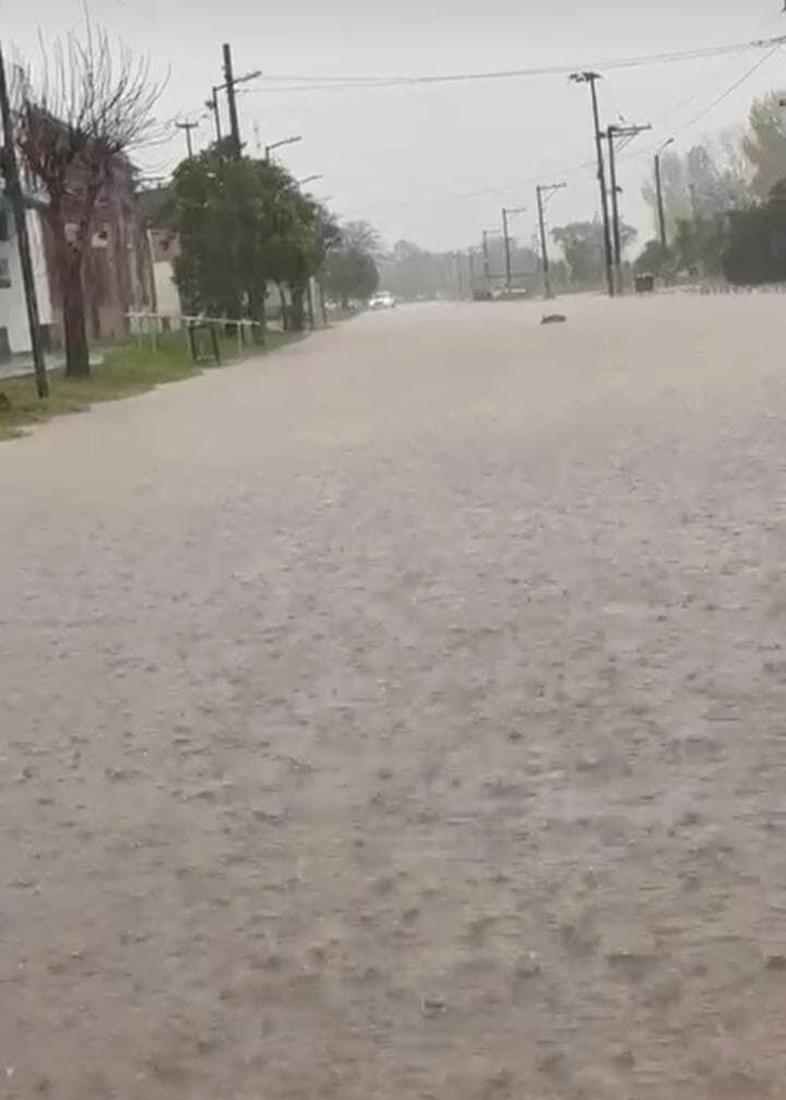 ines indart inundado