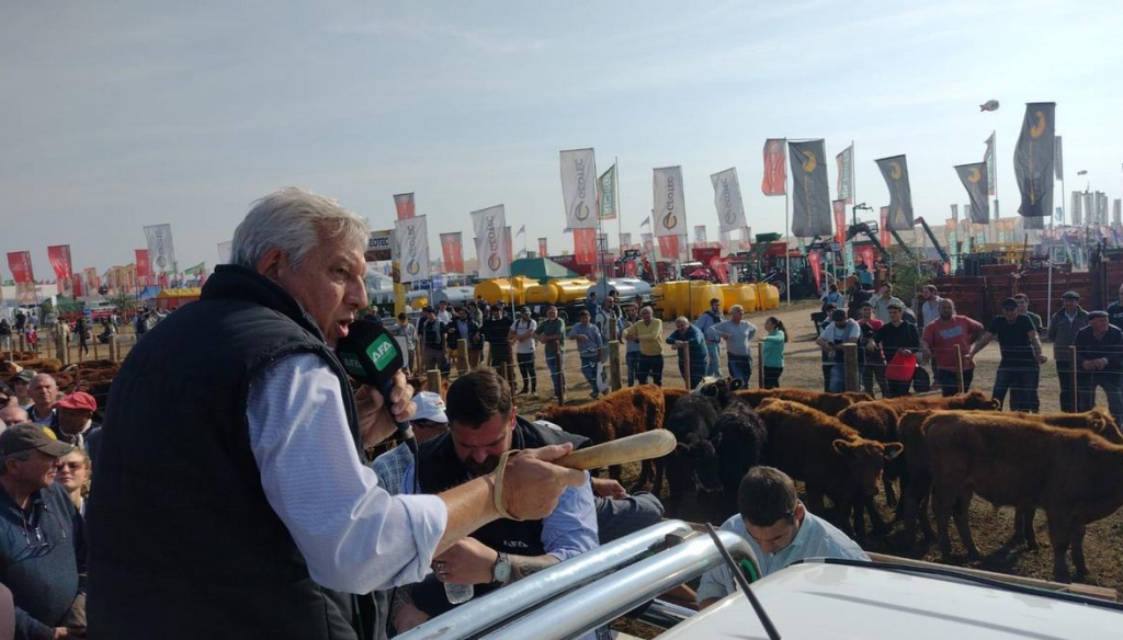 La ganadería se hace carne en Agroactiva, con una amplia agenda de remates La ganadería se hace carne en Agroactiva, con una amplia agenda de remates