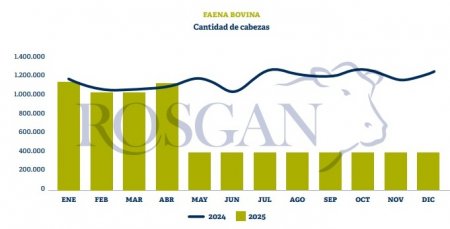 Pese a los vientos a favor, la ganadería aún no logra impulsar una fase clave: la retención 1 rosgan 1