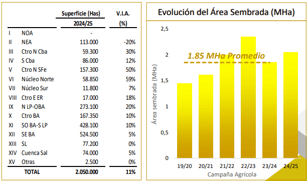 siembra girasol bcba