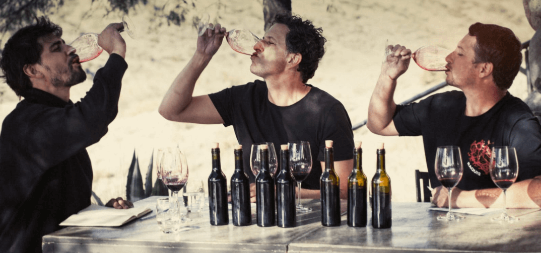 socios vino raquis