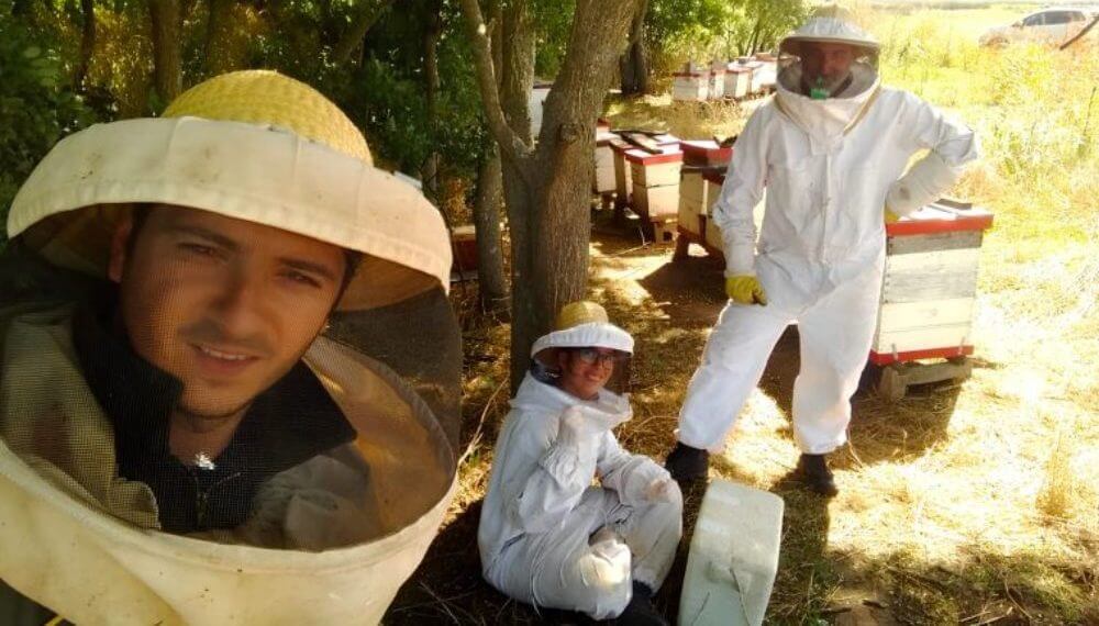 Biodiversidad: un estudio de la FAUBA detectó efectos nocivos de los agroquímicos en las abejas 3 apis destacada 777x437 1