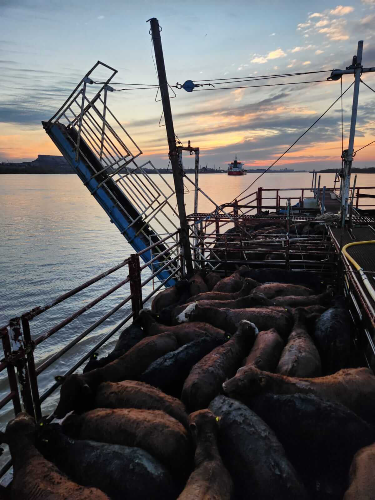 barco hacienda islas