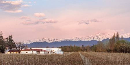 Bodega Nieto Senetiner4