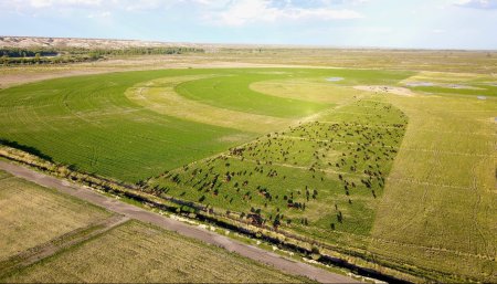 Riego rio negro 3 scaled e1758068355482