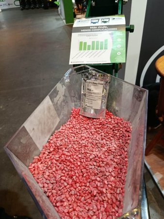 WhatsApp Image 2025 09 02 at 2.58.00 PM