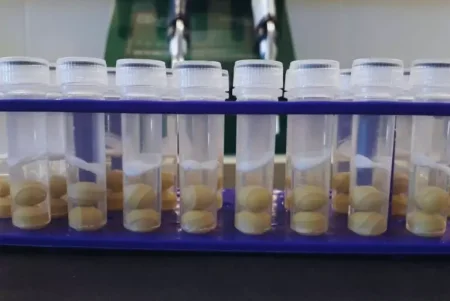 carbonmani 3 768x514.jpg