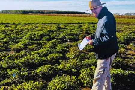 carbonmani 4 768x514.jpg