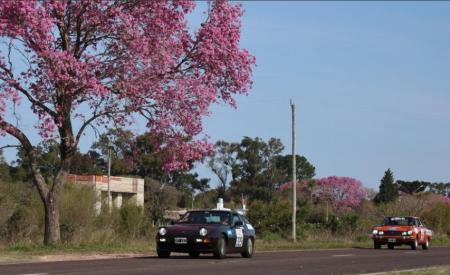carrera aca lapachos