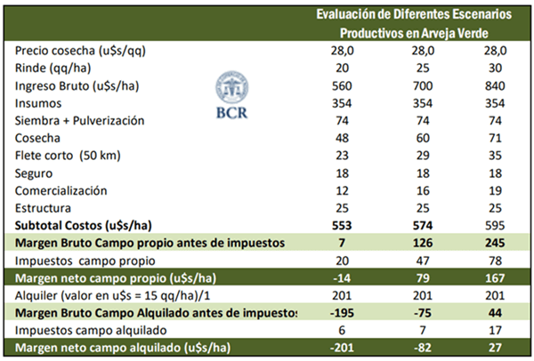La arveja se afirma en la rotación y apunta a un récord productivo en la zona núcleo 7 BCR arveja 1